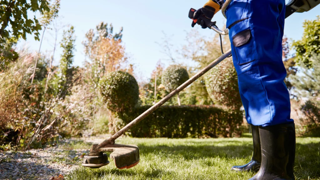 Débroussaillage d'espaces verts par des professionnels