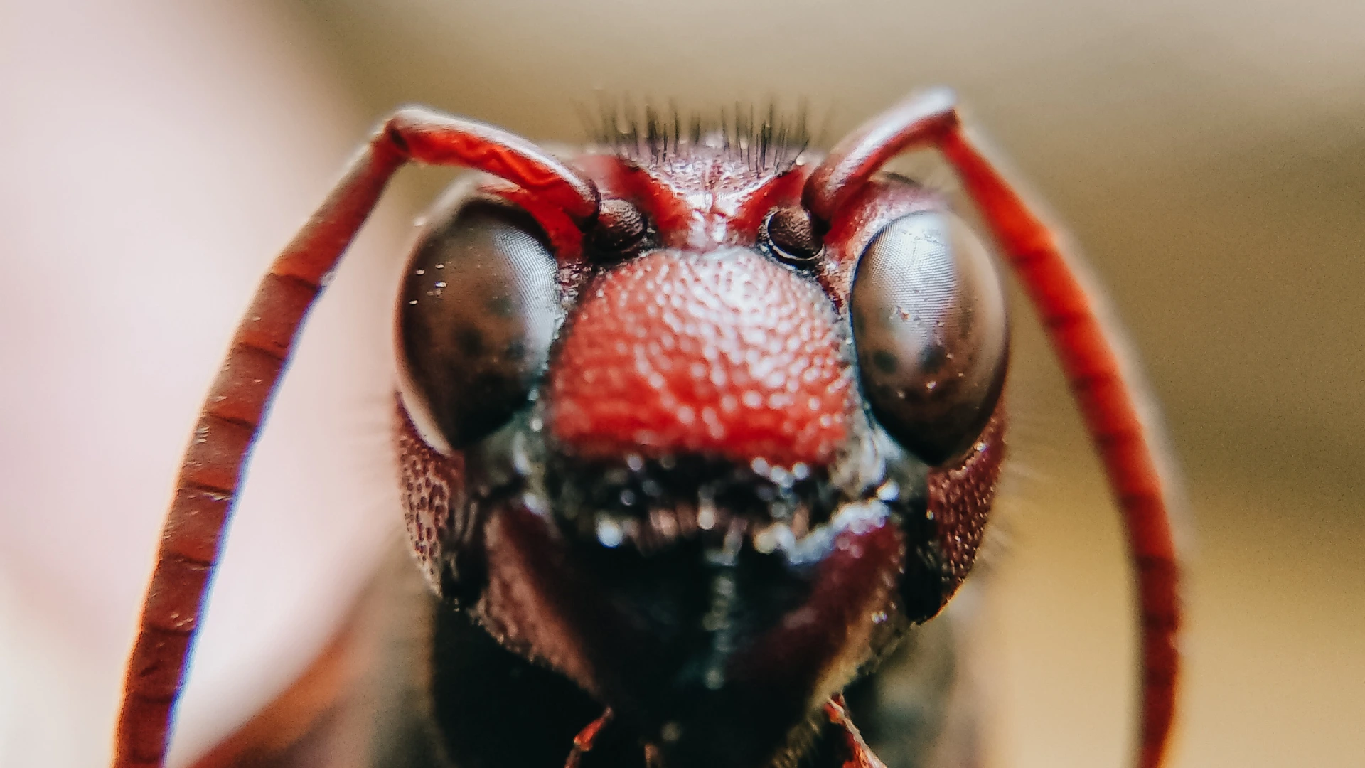 Nettoyage des parties communes