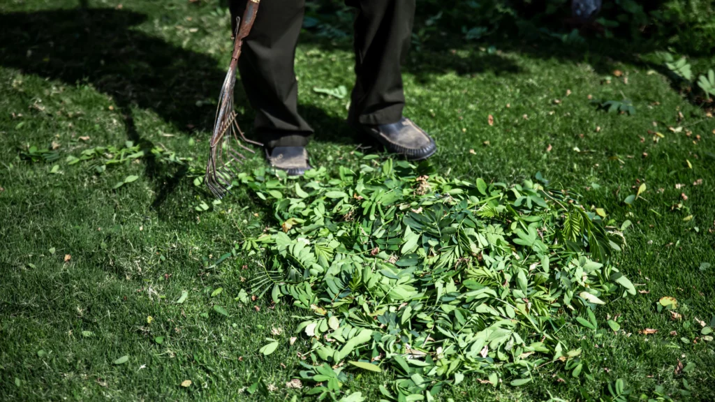 Jardin débroussaillage lcd | Débroussaillement dans les Hauts-de-France